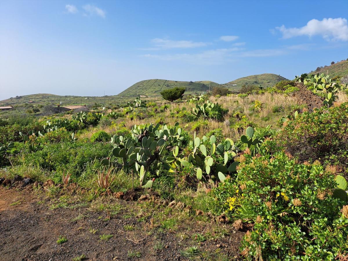 Las Casitas De Pao El Pinar  Exteriér fotografie